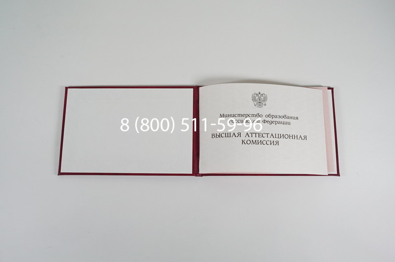 Диплом доктора наук 1995-2006 года в Хабаровске Диплом доктора наук 1995-2006 года в Хабаровске